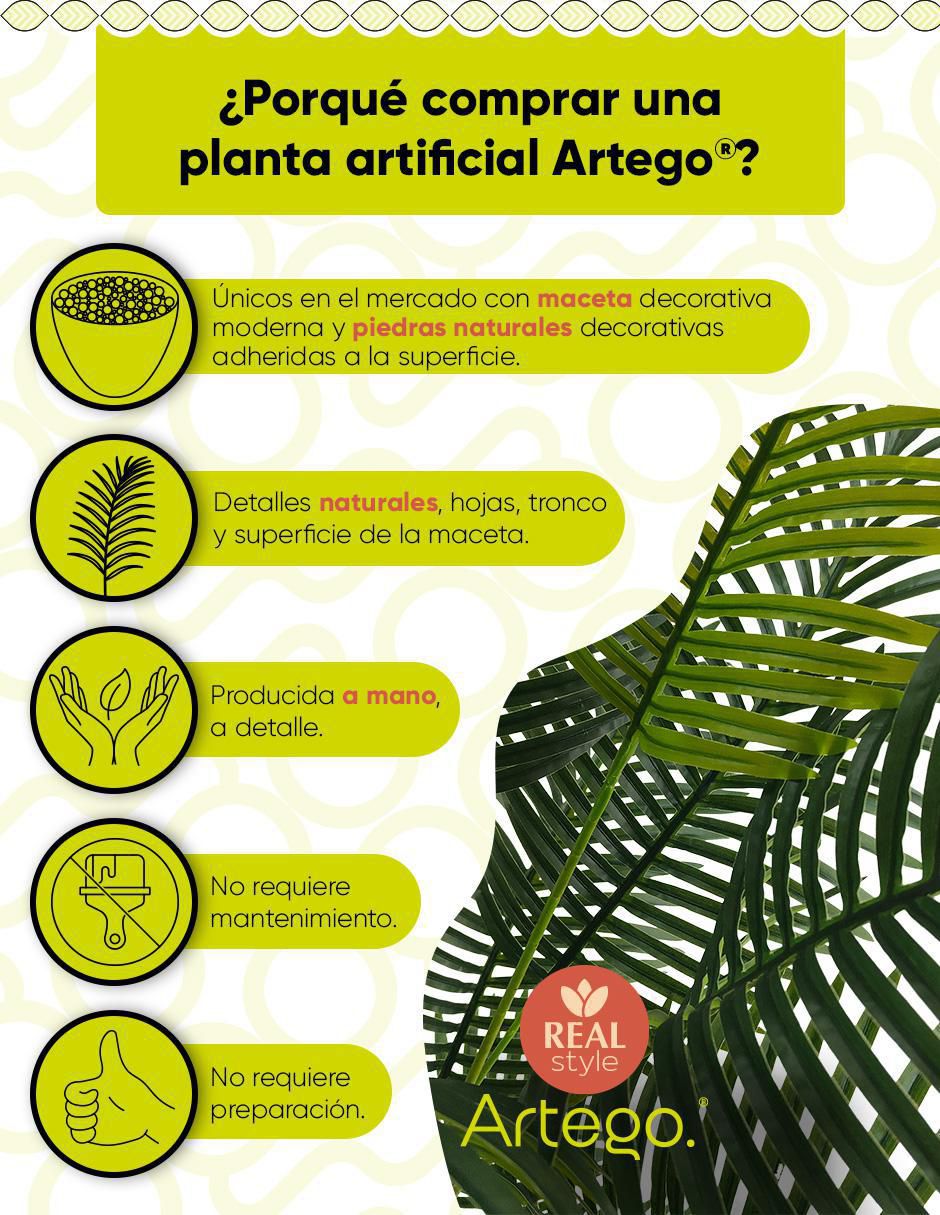 Planta 2