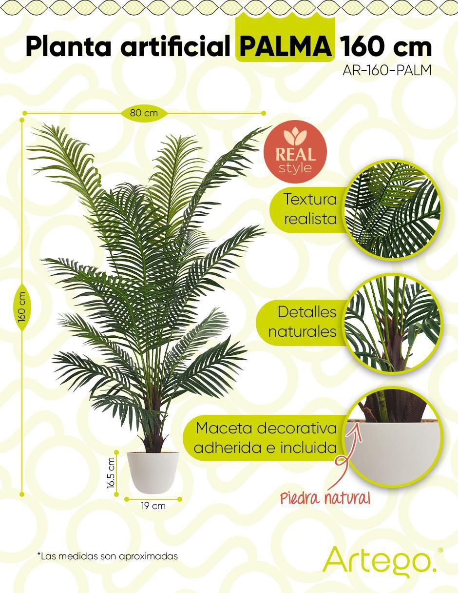 Planta 9