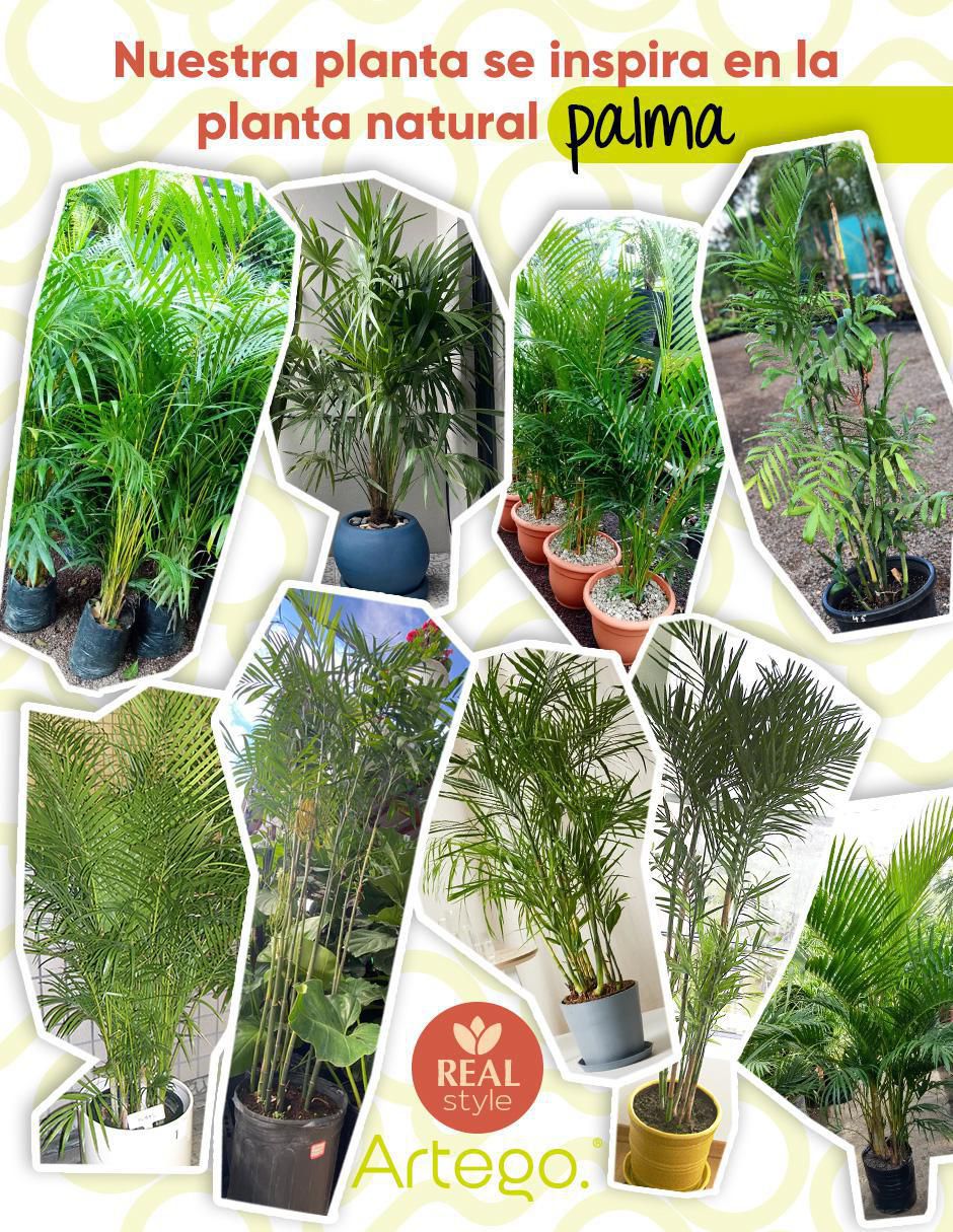 Planta 3