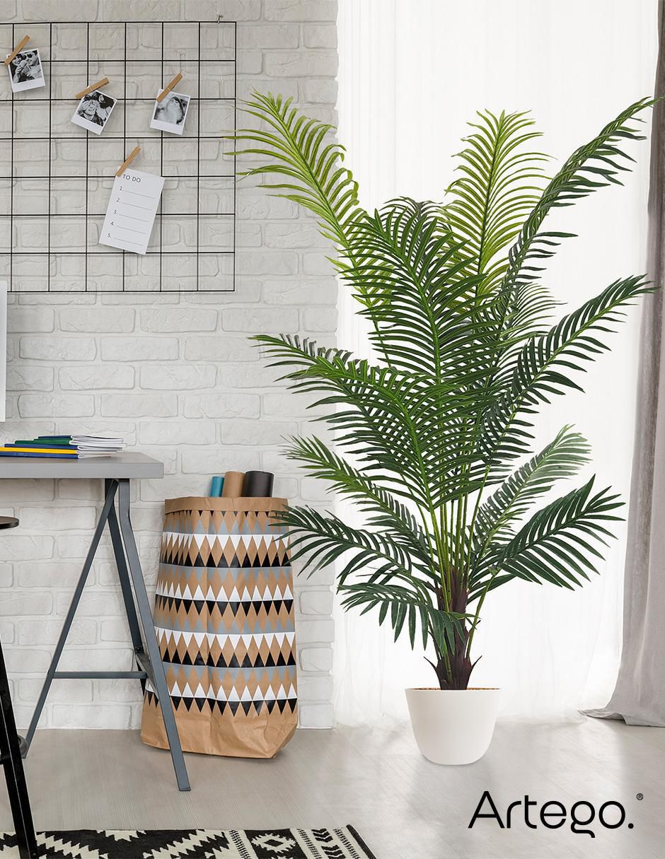 Planta 5