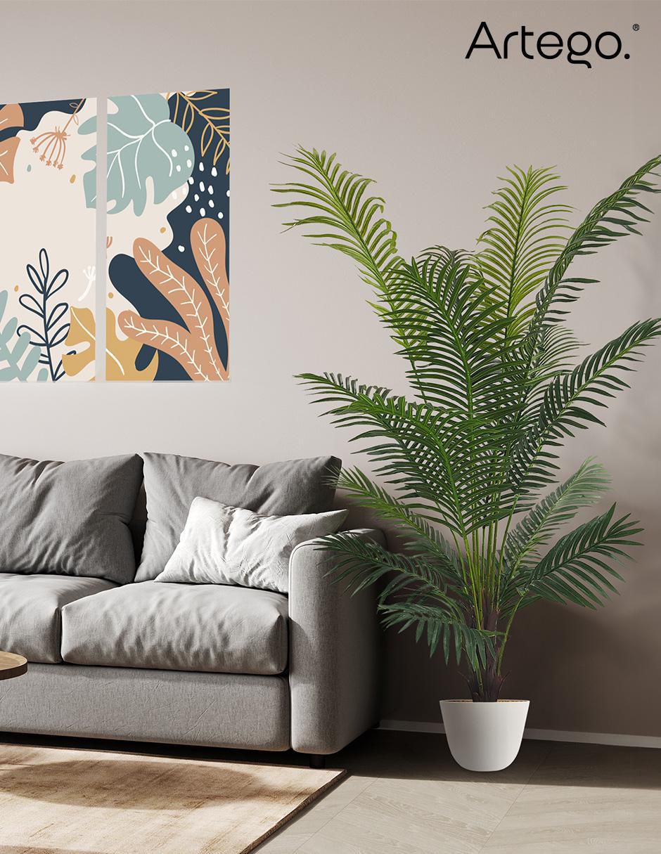 Planta 7