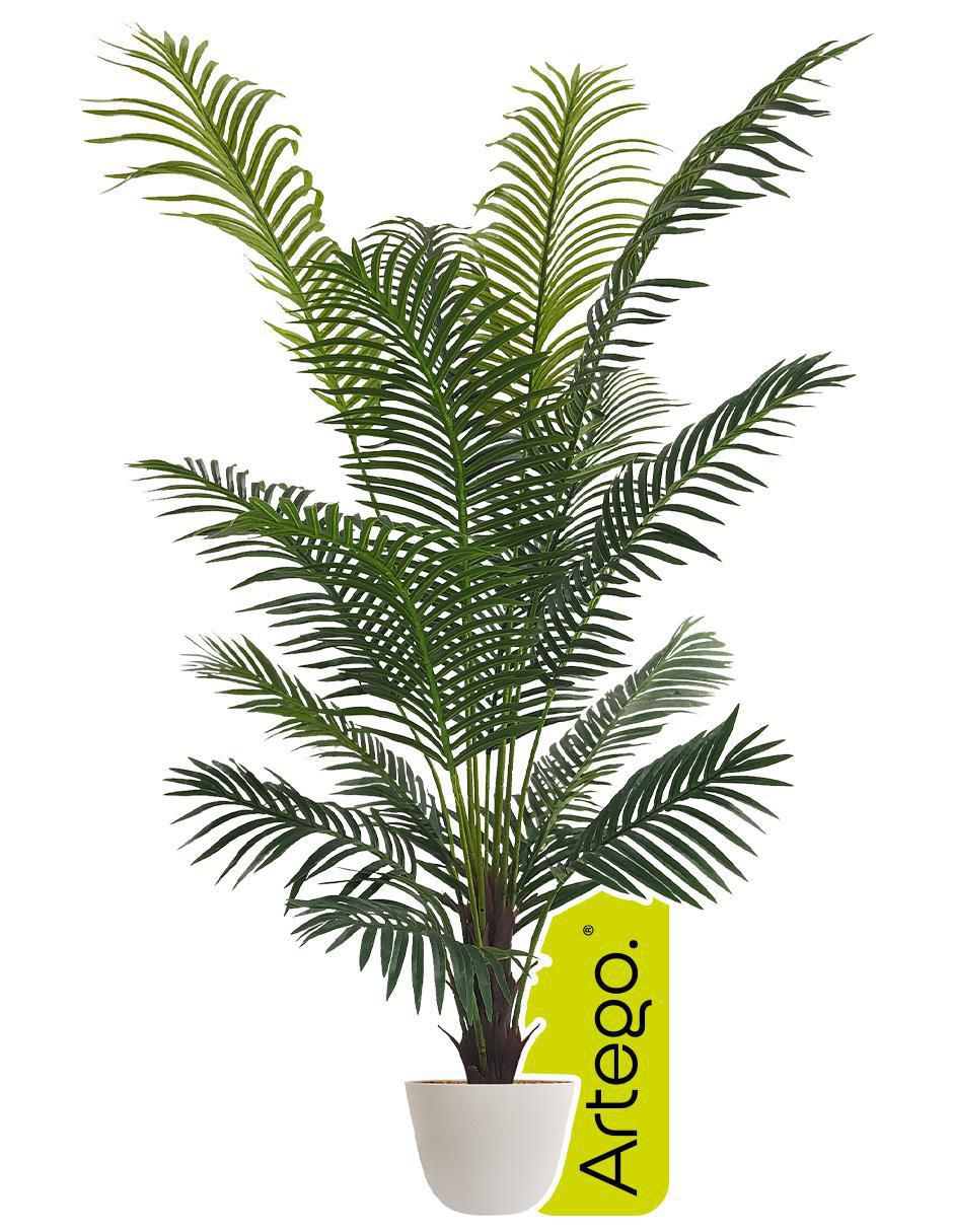 Planta Palm con Maceta