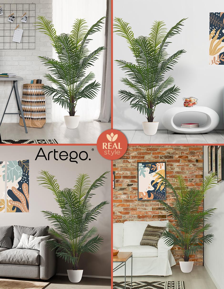 Planta Palm con Maceta 4