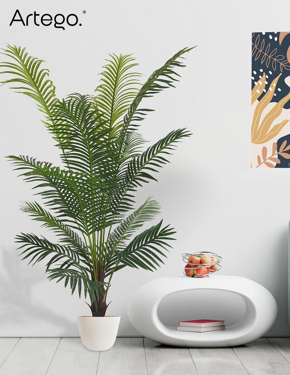 Planta Palm con Maceta 6