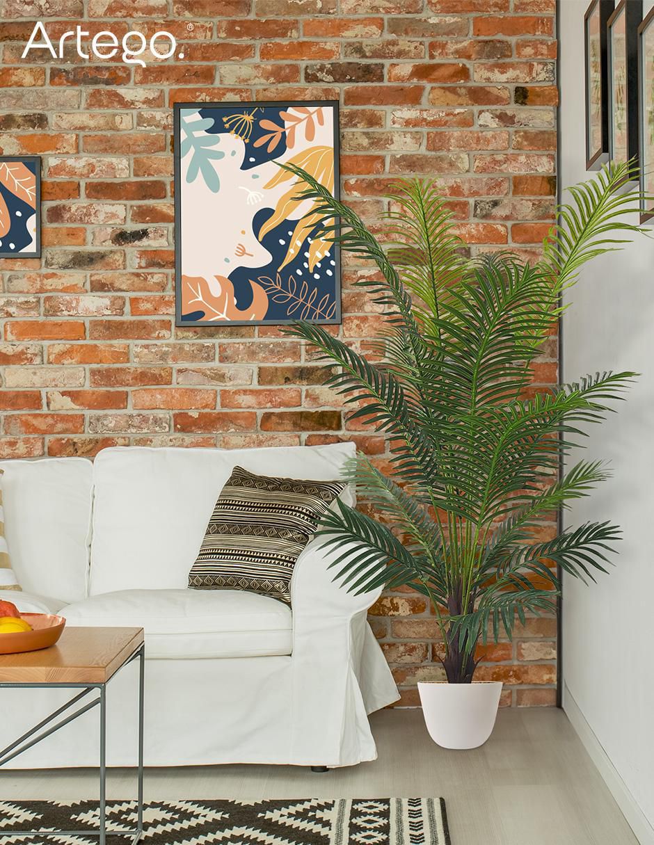 Planta Palm con Maceta 8