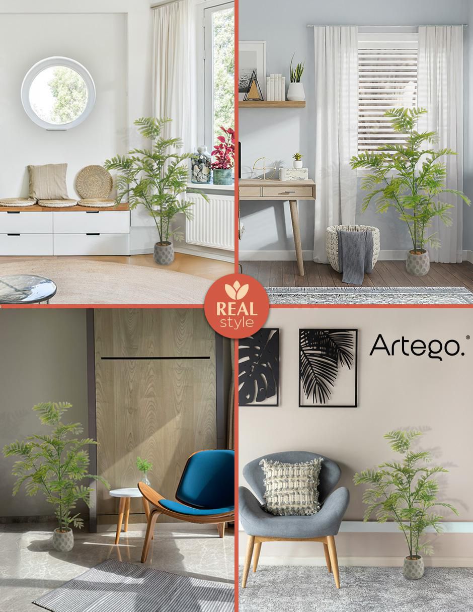 Planta Jacaranda con maceta 4