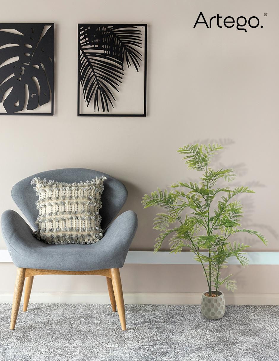 Planta Jacaranda con maceta 5