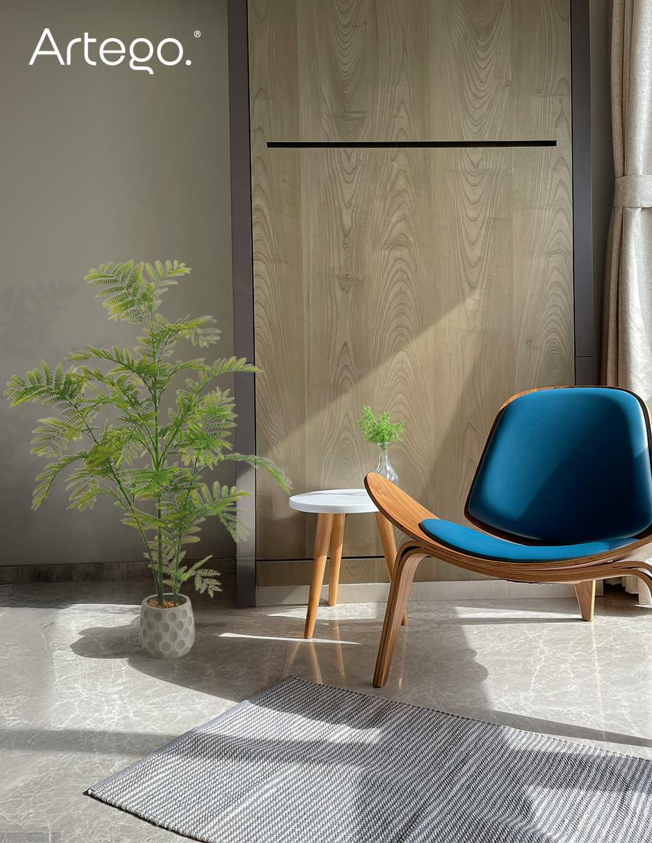 Planta Jacaranda con maceta 8