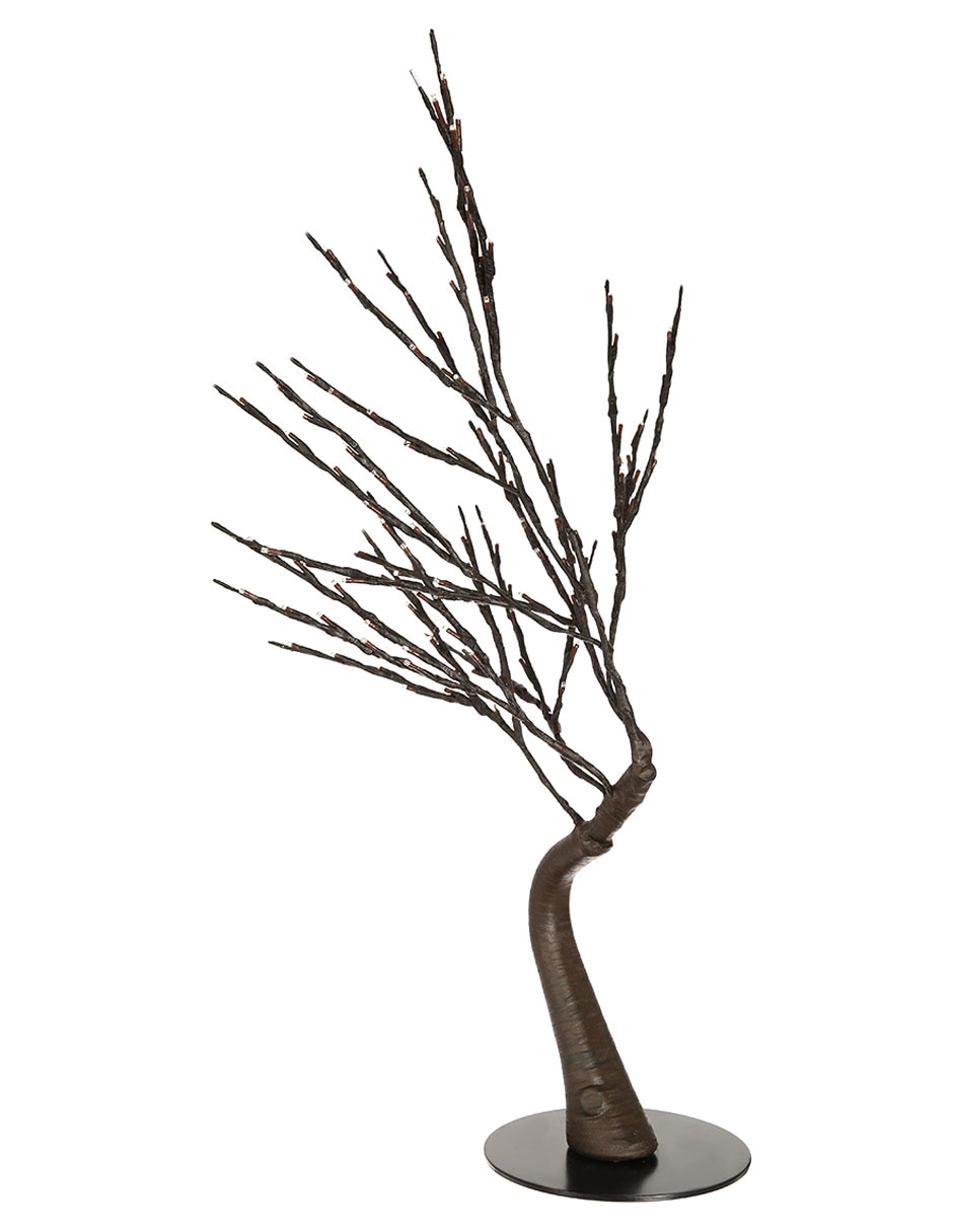 Árbol Eliseos con luz